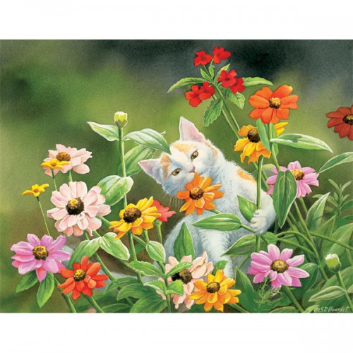 【スーザン・ボーデット】ミニノートカード　百日草を食べないで