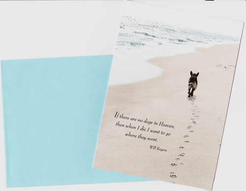 猫雑貨mimikobo ペットお悔やみカード 浜辺の犬