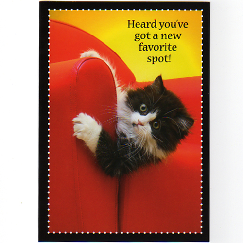 引っ越し祝いカード　赤い椅子の子猫