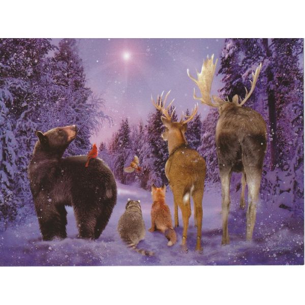 【ジョルダーノ・スタジオ】ミニクリスマスカード　ウッドランド・ビジターズ