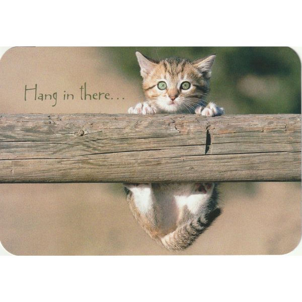 激励カード　木のフェンスと子猫